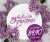 Festival de Orquídeas: Denphale Pink por R$ 89,90 e Frete Grátis na Giuliana Flores